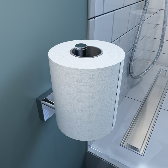 Фото Держатель запасного рулона туалетной бумаги, латунь, Edifice, IDDIS, EDISBS0i43 1