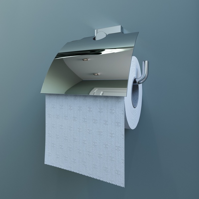 Фото Держатель для туалетной бумаги с крышкой, латунь, Edifice, IDDIS, EDISBC0i43 1